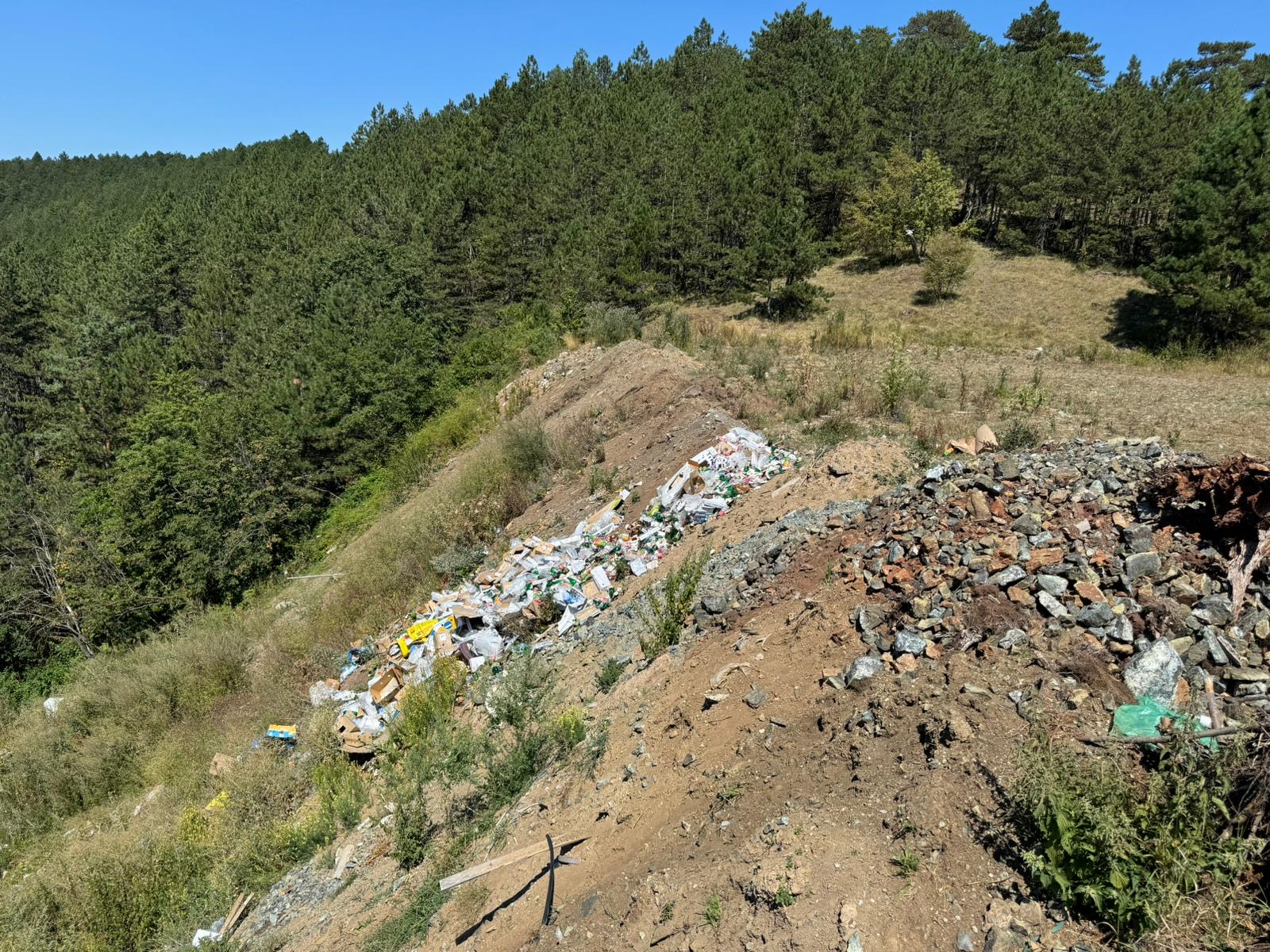 Ponovo deponija na Malom Golupcu!